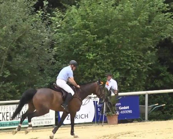 Reit- und Springturnier RSV Püttlingen 2014