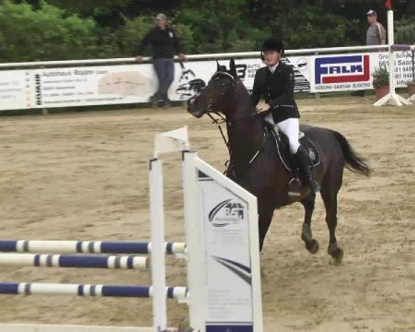 Reit- und Springturnier RSV Püttlingen 2014