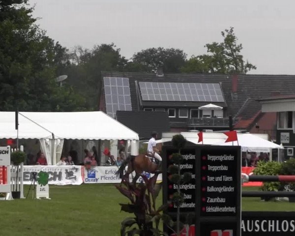 Dressur- und Springturnier Rheine-Wadelheim 2014