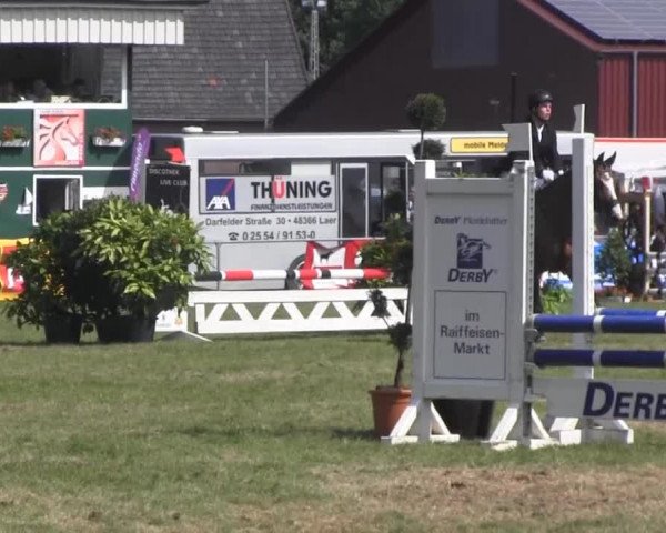 Dressur- und Springturnier Rheine-Wadelheim 2014