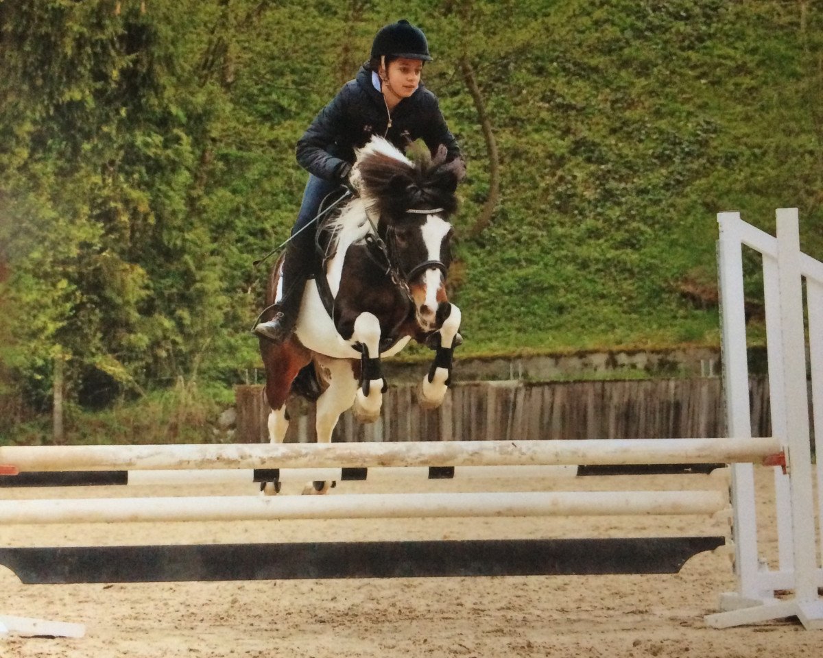 dressage horse Rising Sunshine (Lewitzer, 1999, from Unbekannt PONY)
