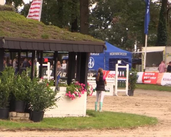 Datteln 2014