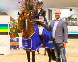 stallion Zeppe van de IJsseldijk (Nederlands Rijpaarden en Pony, 2007, from Zodiak)