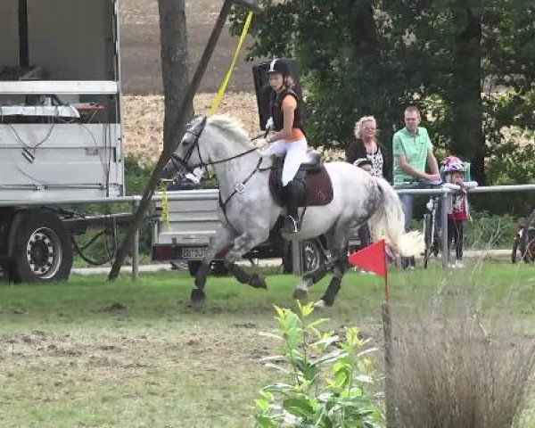 Gültsteiner Springtage 2014