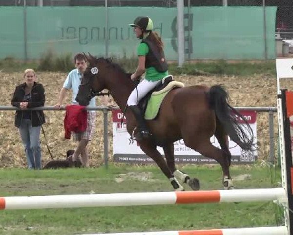 Gültsteiner Springtage 2014