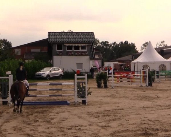 Datteln 2014