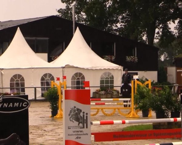 Datteln 2014