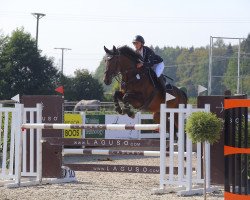 jumper Ber-Sina (KWPN (Royal Dutch Sporthorse), 2006, from Padinus)