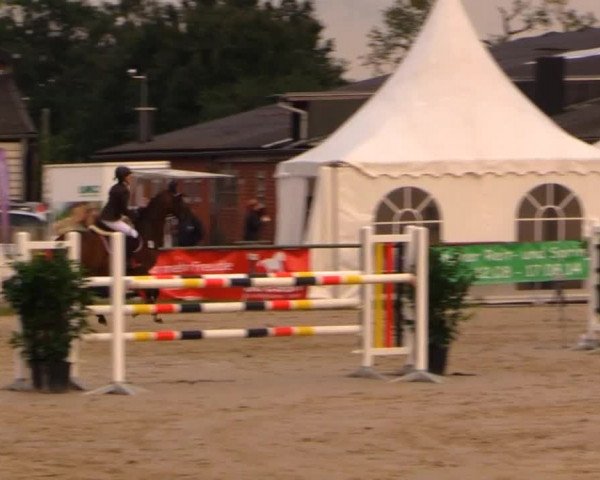 Datteln 2014