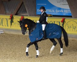 dressage horse Dumbledore 59 (Trakehner, 2005, from Donaufischer)