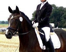 Zuchtstute Vanadis Jr (Deutsches Reitpony, 2013, von Dressman III)