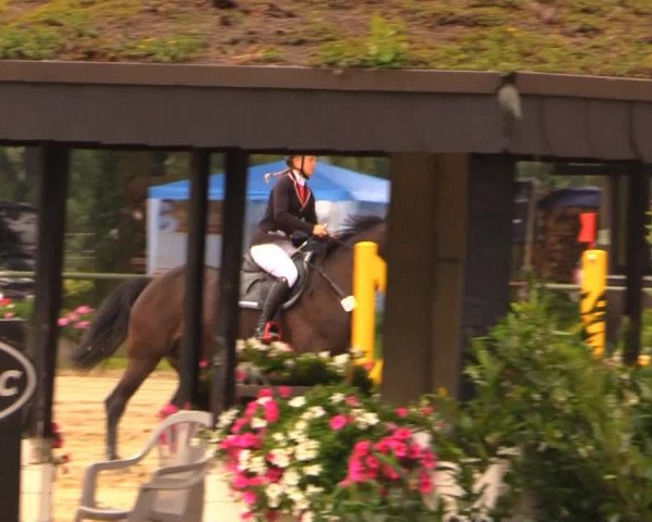 Datteln 2014
