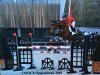 broodmare Ticenta (Oldenburg show jumper, 2012, from Toulouse)