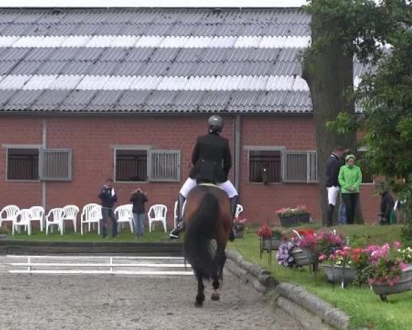 Datteln 2014