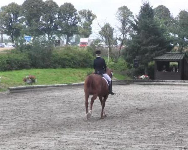Datteln 2014