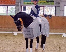 dressage horse Der kleine Prinz 30 (German Sport Horse, 2012, from Don Girovanni)