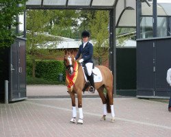 broodmare Coole Socke WE (German Riding Pony, 2010, from FS Don't Worry)