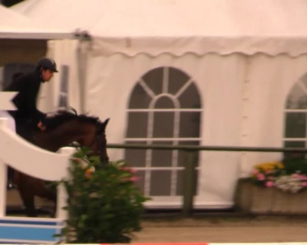 Datteln 2014