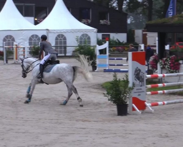 Datteln 2014