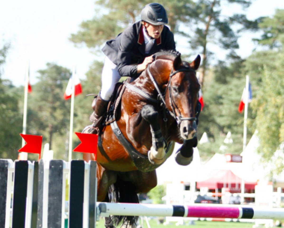 stallion Manoir des Peux (Selle Français, 2000, from Drakkar des Hutins)