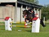 dressage horse Carlotta 357 (Mecklenburg, 2014, from C-Mocca D'Or)