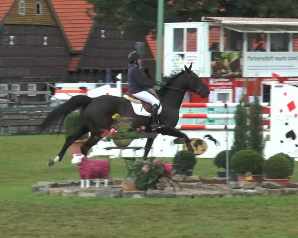 Reitturnier Georgsmarienhütte 2014