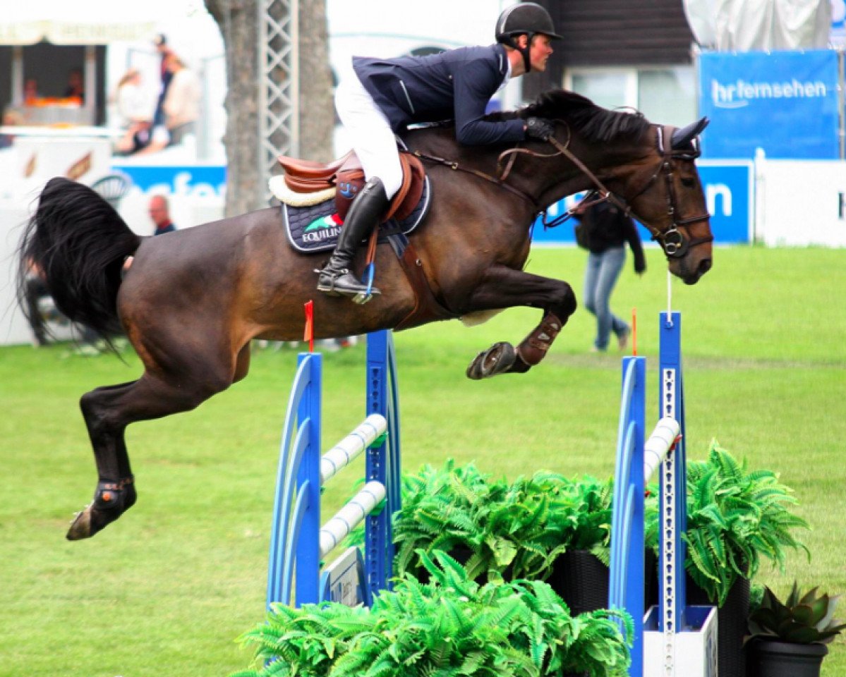 broodmare Camilla PJ (Hanoverian, 2007, from Calme)
