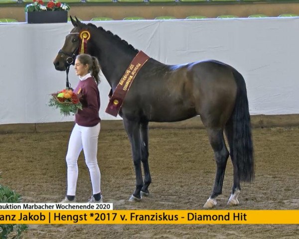 stallion Franz Jakob (German Sport Horse, 2017, from Franziskus FRH)