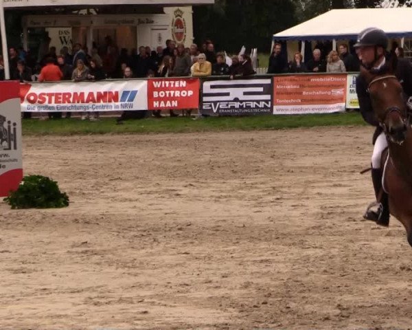 Datteln 2014