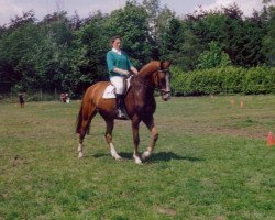 horse Milford (Belgian Warmblood, 1989, from Lys de Darmen)