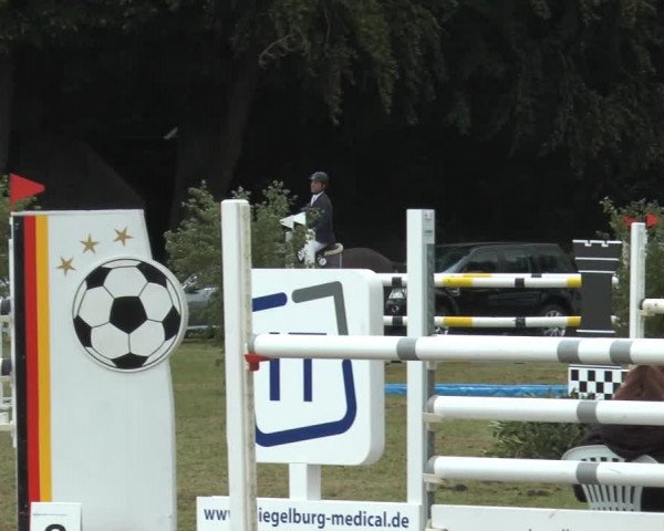 Reitturnier Georgsmarienhütte 2014