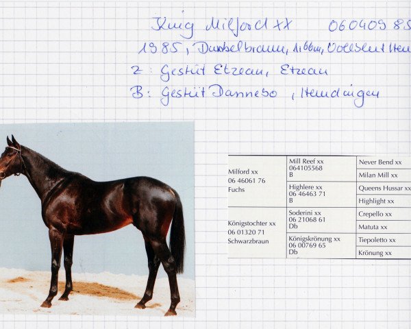 stallion King Milford xx (Thoroughbred, 1985, from Milford xx)