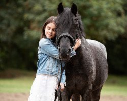 dressage horse Doudou (unknown, 1995)