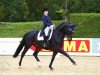 dressage horse Devon 20 (Hanoverian, 2009, from Don Frederico)