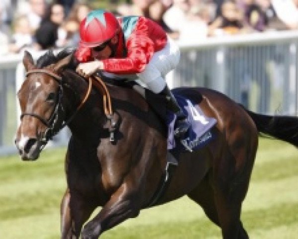 broodmare Aigrette Garzette xx (Thoroughbred, 2008, from Peintre Celebre xx)