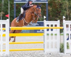 jumper Best Mix Elien (Belgian Warmblood, 2004, from Escuro)