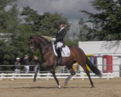 dressage horse Mia La Rouge OLD (Oldenburger, 2016, from Foundation 2)