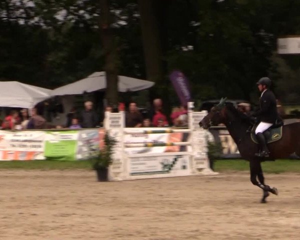 Datteln 2014