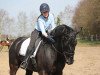 dressage horse Dassavi (Hanoverian, 2006, from Don Frederico)