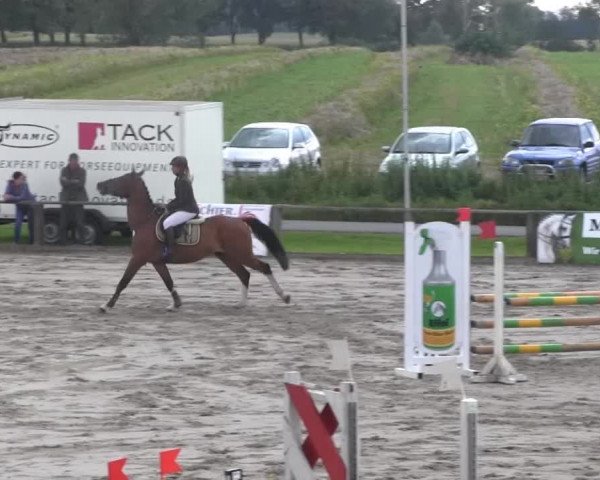 Recklinghausen 2014