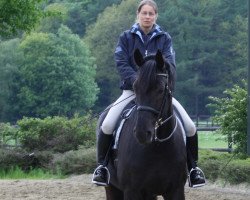 dressage horse Royal-Rubindahl (Westphalian, 2002, from Rubin Royal OLD)