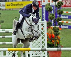 broodmare Cesanna (Oldenburg show jumper, 2003, from Cento)