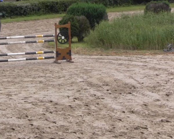 Recklinghausen 2014