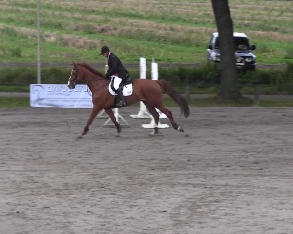 Recklinghausen 2014
