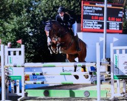 jumper Lookout (Hanoverian, 2009, from Le Primeur)