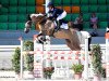 jumper Ucs Skyfall (anglo european sporthorse, 2015, from Legrand)