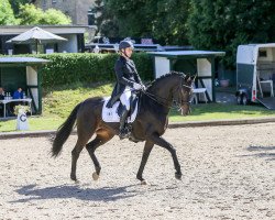 dressage horse Fürstin Von Der Heide (Oldenburg, 2011, from Fürstenball)