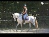 dressage horse Viktoria (German Riding Pony, 2010, from Nuts)