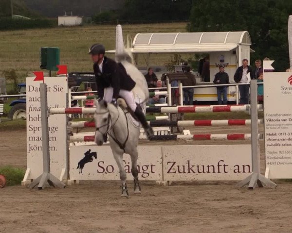 Mendener Reitertage 2014