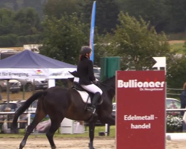 Mendener Reitertage 2014